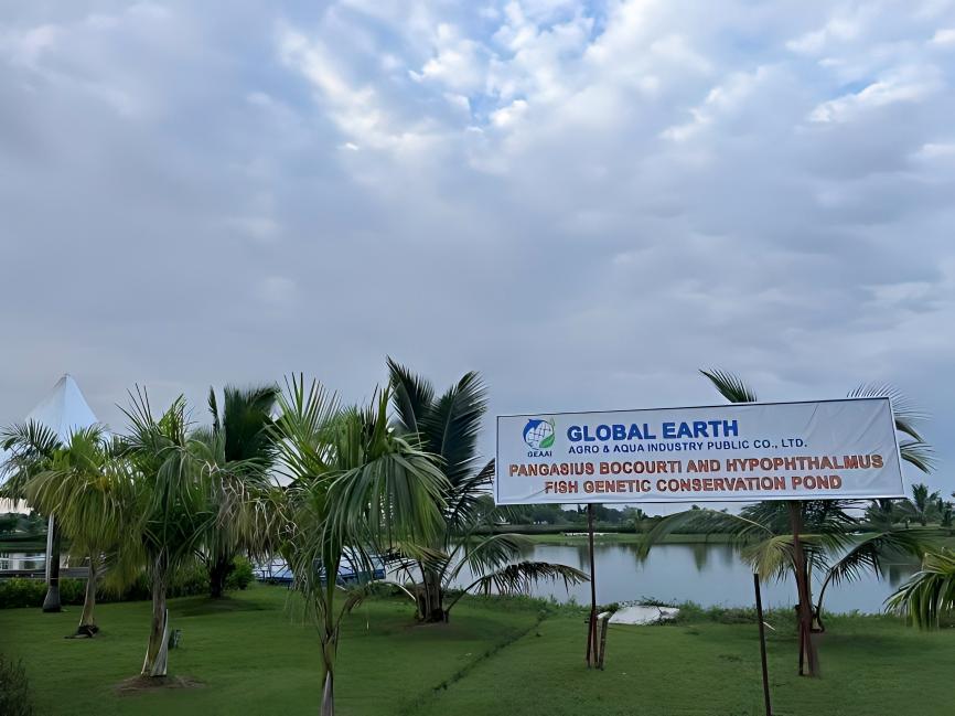 Myanmar Global Earth