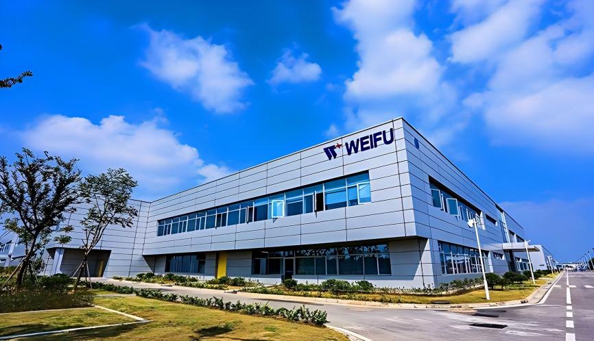 Wuxi Weifu High-Tech